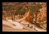 Bryce Canyon 19